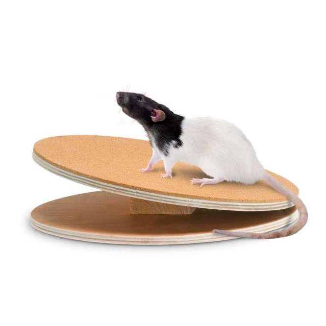 Karlie Karlie Flamingo Bogie Disc Laufscheibe mit Korkbeschichtung - 30 cm – Vorderansicht