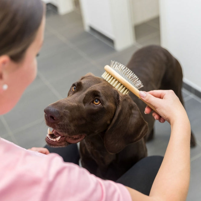 Trixie Trixie beidseitige Bürste aus Bambus - 6 x 22 cm – Seitenansicht