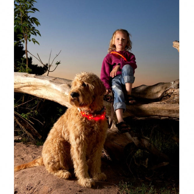 Karlie Karlie Visio Light LED-Leuchtschlauch mit USB - Gestreift - violett-pink – Seitenansicht