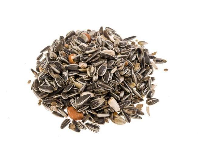 Classic Bird Classic Bird Meisenfutter - 5 kg – Vorderansicht